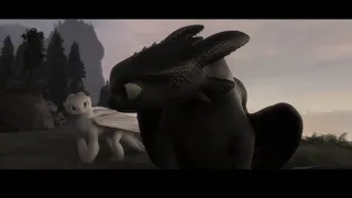 HTTYD Toothless and Lightfury-Hold on