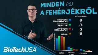 Minden, amit a fehérjékről tudnod kell (miért, mikor, mennyit) | A Specialista