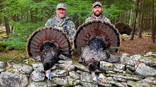 VERMONT DOUBLE!!! - (Turkey Hunting w/The Untamed and Just Hunt Club)