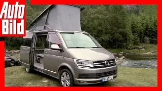 VW Bus T6 California - Neuauflage der Legende