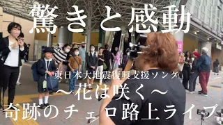 急にプロのチェロ奏者が“花は咲く”を演奏開始したら駅が温かい雰囲気に包まれて..【ストリートチェロ】