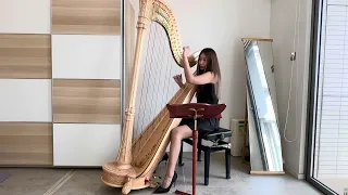 Evanescence | My Immortal | Harp Cover