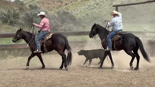 Vintage Chiclet J Arrow Livestock