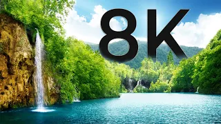 The Most Beautiful Flowers Collection 8K ULTRA HD / 8K TV | Most Beautiful nature scene