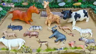 Herbivorous Animals for Kids | Learning Zoo and Farm Animals Name & Sound for Toddlers