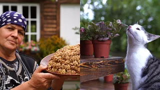 Planting New Flowers and Cooking Chuck - Chuck