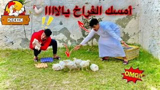 لما أبوك يفتح مزرعة فراخ في البيت😂🐓 | سيف عماد