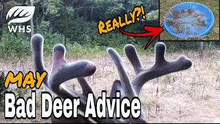 May Bad Deer Habitat Advice