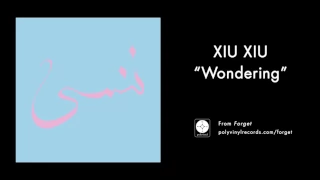 Xiu Xiu - Wondering [OFFICIAL AUDIO]