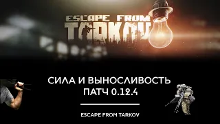 Прокачка силы и выносливости патч 0.12.4 // Escape From Tarkov