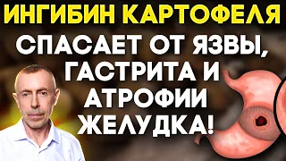 Ингибин Картофеля Спасает от Язвы, Гастрита и Атрофии Желудка