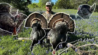 Turkey Hunting Texas Hill Country {catch Clean Cook} Turkey GIZZARDS