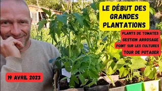 LES PREMIÈRES GRANDES PLANTATIONS - arrosage - tour de potager - semis...