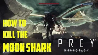How to kill The Moon Shark (Prey Mooncrash)