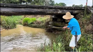 Se chover pode ir para o corgo que eles saem da toca, pescaria de traíra e bigodes!