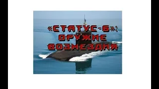 «Статус-6»: оружие возмездия