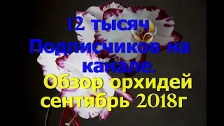 Обзор орхидей сентябрь 2018г. Спасибо мои хорошие подписчики!!!