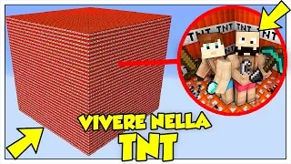 SI PUÒ SOPRAVVIVERE IN UN CUBO DI TNT? - Minecraft ITA