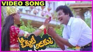 Aa Okkati Adakku - Super Hit Video Song - Rajendra Prasad, Ramba, Rao Gopala Rao