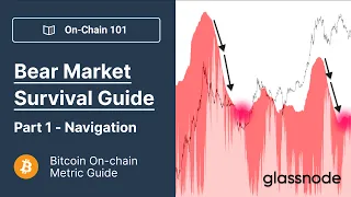 Bitcoin Bear Market Survival Guide, Part 1 - Navigation (Bitcoin Onchain Analysis 101)