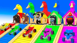 5 Giant Duck, Monkey, Piglet, chicken, dog, Lion, Sheep, Transfiguration funny animal 2023