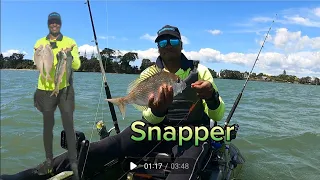 Fishing in Manukau Harbour, Auckland with kayak and fishing net