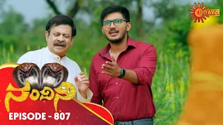 Nandini - Episode 807 | 29th Nov 19 | Udaya TV Serial | Kannada Serial