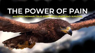 The Power Of Pain ( Eagle's Painful Transformation Story ) | Best Motivational Video