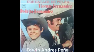 Dos Gallos De Pelea Vicente Fernandez Y Pedrito Fernández