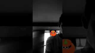 Shawn Mendes via instagram story(24/10/2018)