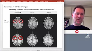 The psycholinguistics of bilingualism - neurolinguistics