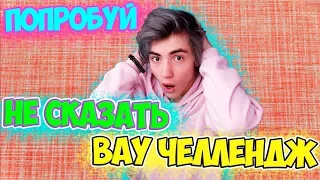 ПОПРОБУЙ НЕ СКАЗАТЬ ВАУ ЧЕЛЛЕНДЖ | САМЫЙ ТРУДНЫЙ ЧЕЛЛЕНДЖ | ТЕСТ НА ПСИХИКУ ЧЕЛЛЕНДЖ | ТЫ ПРОИГРАЕШЬ