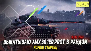 AMX 30 1er prot. и другие предложения в Wot Blitz | D_W_S