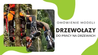 Drzewołazy dla arborystów - omówienie najpopularniejszych modeli