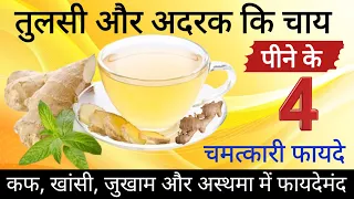 तुलसी और अदरक की चाय पीने के फायदे l Benefits of Drinking Basil and Ginger Tea l Tulsi Tea Benefits
