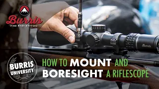 How to Mount and Boresight a Riflescope