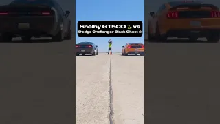 Shelby GT500 vs Dodge Challenger Black Ghost 🤣