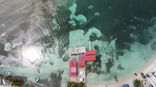 Isla Grande, Colón Panamá 2021-1080p