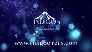 Indigo Circus Gala Shows