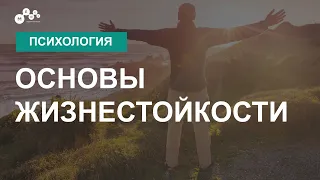 Вебинар «Основы жизнестойкости»