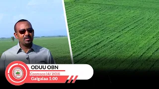 OBN Oduu Roobii Galgala 14/09/2016