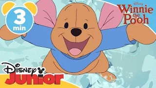 The Mini Adventures of Winnie the Pooh | Roo and Lumpy | Disney Junior UK