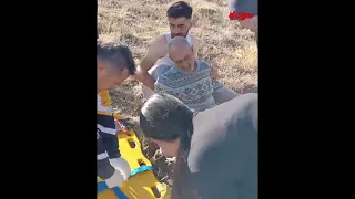 Erzincan'da ayı saldırısı!