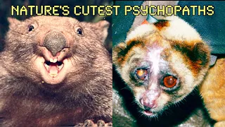 Cute Animals But They Slowly Get Worse For Your Health