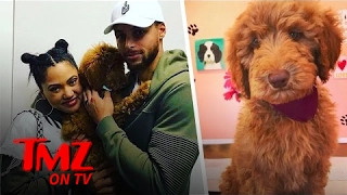 Steph Curry Drops $3800 On Adorable New Puppy | TMZ TV