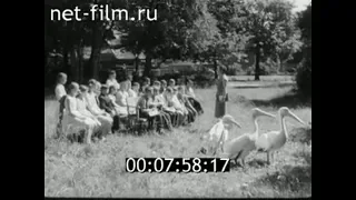 1959г. Калининград. зоопарк