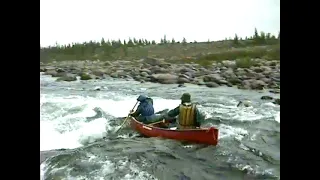 Northern Tributary of the Kogaluk River, 1994