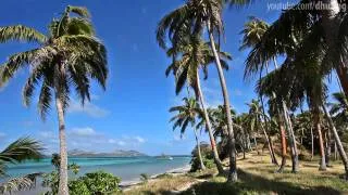 Pure Relaxation: Fiji Islands Paradise