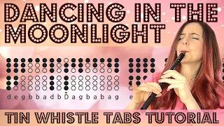 Dancing In The Moonlight - Toplaoder | TIN WHISTLE COVER & TABS TUTORIAL