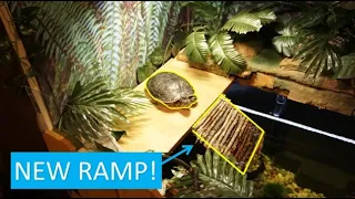 New Log Ramp! - Tropical Turtle Pond Update